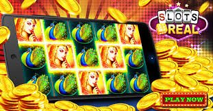 5pgbet